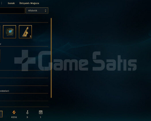 TR Unranked | 5 Kostüm - 24 Hero | Ranked Ready