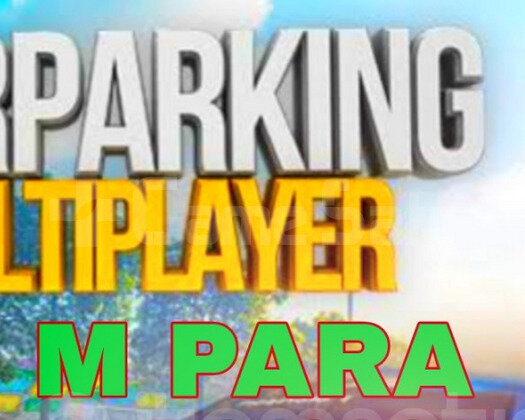 50 Milyon Para Car Parking 1