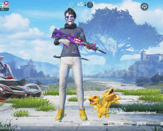 Pubg mobile hesabı