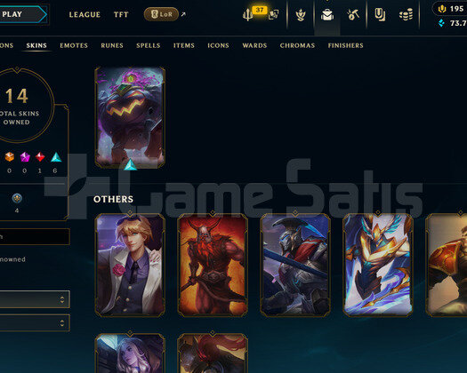 EUW 134 LEVEL | 14 KOSTÜM - 118 HERO | HANDMADE