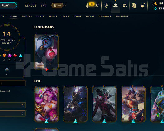 EUW 134 LEVEL | 14 KOSTÜM - 118 HERO | HANDMADE