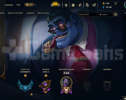 EUW 134 LEVEL | 14 KOSTÜM - 118 HERO | HANDMADE