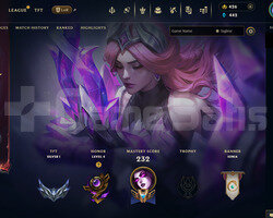EUW 193 LEVEL | 57 KOSTÜM - 160 HERO | HANDMADE