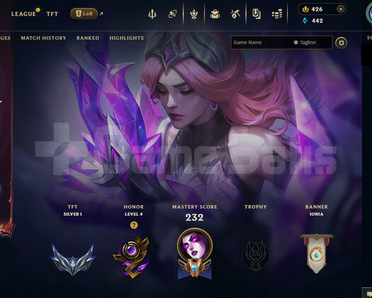 EUW 193 LEVEL | 57 KOSTÜM - 160 HERO | HANDMADE