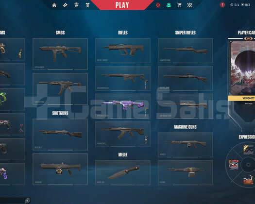 TR Gold 2 | 12 Skin - 217 Level | Mailli Hesap