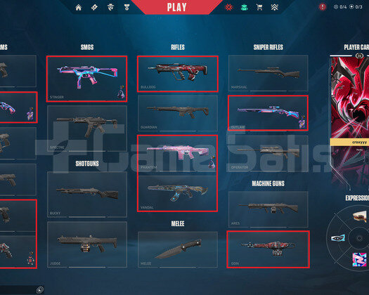 TR 10 Skin | 3 Vandal - 1 Phantom | Mailli Hesap