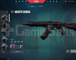TR Bronz 1 | Kaos Vandal - Araxys Vandal | Mailli
