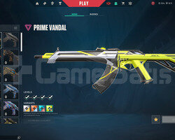 TR Ranked Ready | Prime Vandal | Mailli Hesap