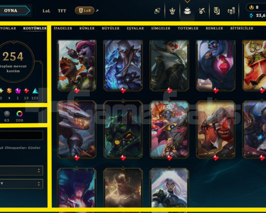 418 LEVEL/ 254 SKIN / FULL HERO / +MAIL / FIRSAT!