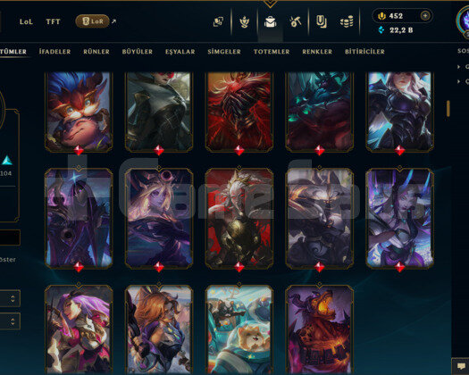 EUW / 293 LEVEL / 199 SKİN /+MAİL /+BOL PRESTİJ