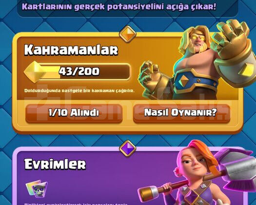10 K KUPA 14 EVRİM CR