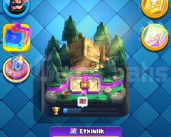10 K KUPA 14 EVRİM CR