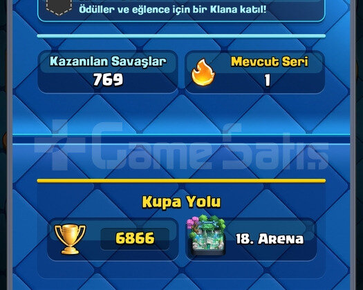 24518 70 SANATÇI BS +6866 KUPA CR TEK MAİL EFSANEE