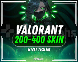 TR SUNUCU 200-400 SKIN VALORANT RANDOM HESAP
