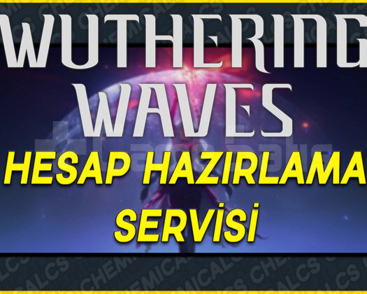 WUWA | Hesap Hazırlama Servisi