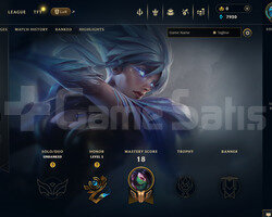 EUW Unranked | 9 Kostüm - 35 Hero | LoL Hesap