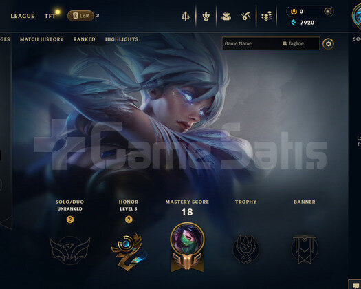 EUW Unranked | 9 Kostüm - 35 Hero | LoL Hesap