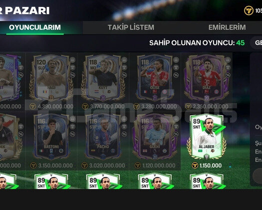 119 GEN 4.7 MİLYAR COİNS TEK BAG EA