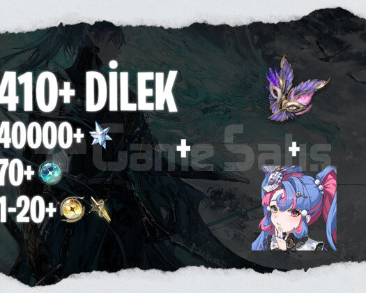 EU | UL35+ Roccia + Silahı + 40000+ Astrite