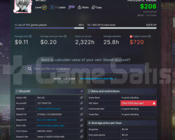 Kaliteli Oyunlarla Dolu 37 Level Steam Hesabı