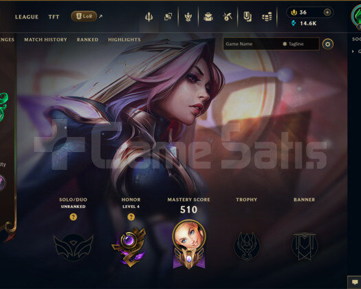 EUW | 290 SKİN | UNRANKED