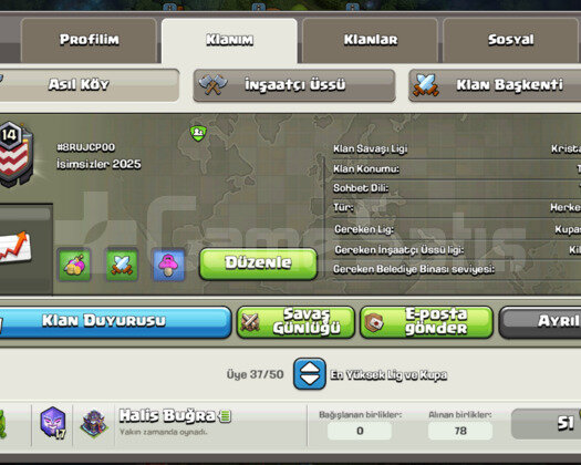 SATILIK İSİMSİZ NADİR KLAN 14 LVL BAŞKENT 10