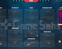 VALORANT SKİNLİ YÜKSEK MMR HESAP