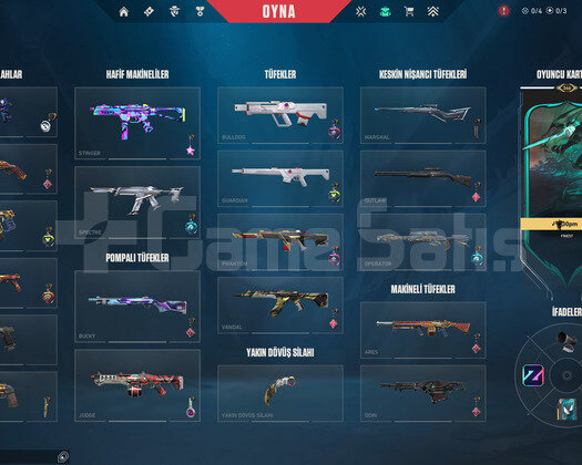 CHAMP 21 22 24 +ARCANE VCT SETLİ VİDEOLU FULL ACC