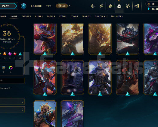 EUW 127 LEVEL | 36 KOSTÜM - 105 HERO | HANDMADE