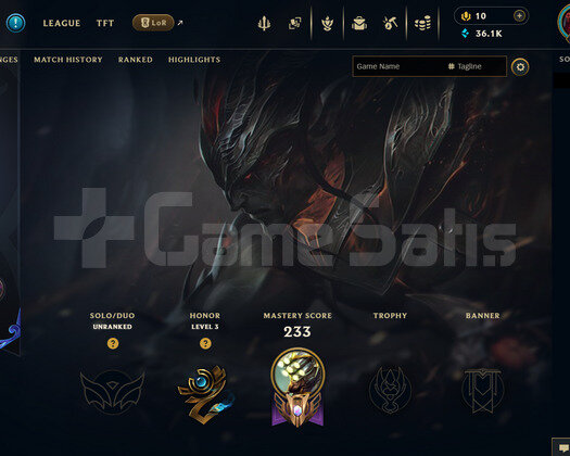 EUW 127 LEVEL | 36 KOSTÜM - 105 HERO | HANDMADE