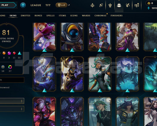 EUW PLAT 1 | 81 KOSTÜM - 172 HERO | HANDMADE