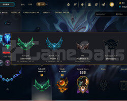 70WR 187Skin Full Hero 283 LVL Full hesap Uygun Fi