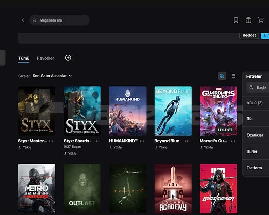 rdr 2 çeşitli oyun yanında gta 5 hesabı hediye