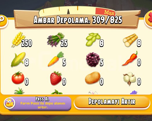 53 Level 3000 Ağıllı Hayday Hesap Uyguna