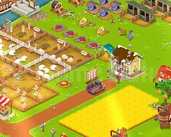 53 Level 3000 Ağıllı Hayday Hesap Uyguna