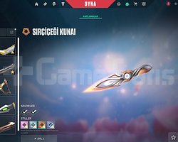 495 SEVİYE 31 ADET SKİN ELMAS GÖRMÜŞ HESAP
