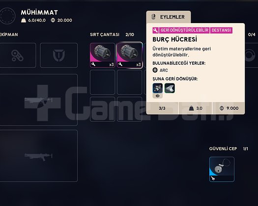 BURÇ HÜCRESİ