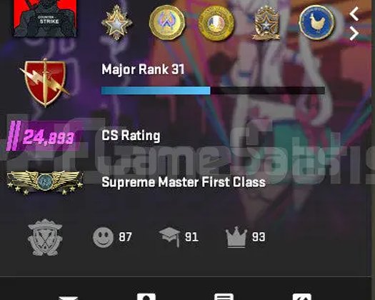 7 LVL FACEIT / 12 MADALYA / TR / 32 LVL STEAM