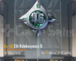 70 seviye sezon 2 pubg mobile hesabı