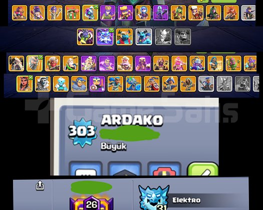 TR DE TEKK  303 LVL+BB18MAX+ÇIRAK MAXX