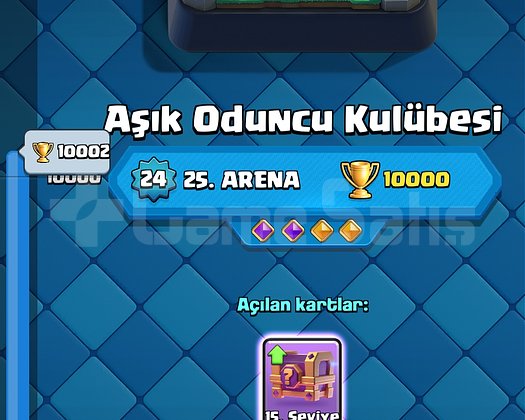 10K 13 EVRİM TEMİZ