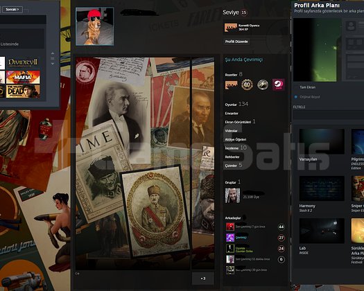 134 OYUN STEAM TR HESAP BİRÇOK ÇİZİM ÖZEL PROFİLLİ