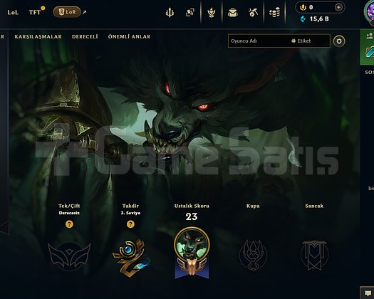 EUW UNRANKED HAZIR DERECELİYE 5 KOSTÜM 70 WR TEMİZ