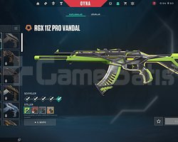 UNRANKED RGX VANDALLI HESAP