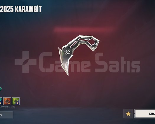 TR 2025 CHAMPIONS VANDAL + ASİL PHNTM PLAT 12025 C