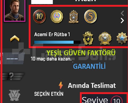 ANINDA TESLİM | 8 MADALYA | 1289 SAAT | FACEIT
