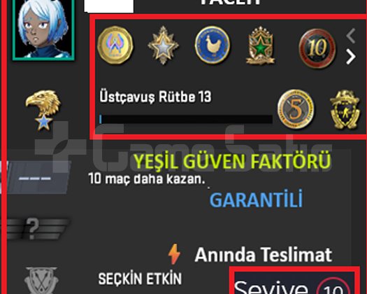 ANINDA TESLİM | 8 MADALYA | 617 SAAT | FACEIT