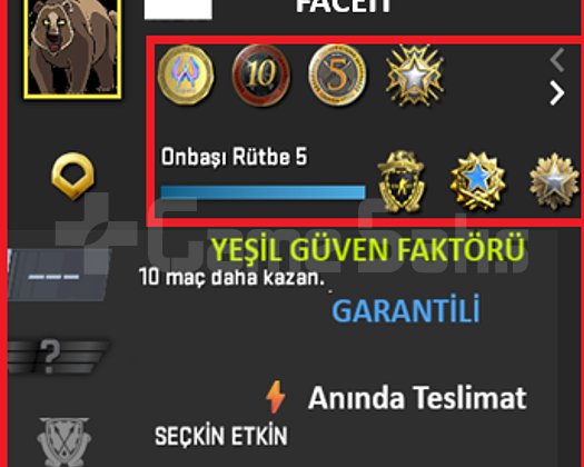 ANINDA TESLİM | 8 MADALYA | 905 SAAT | FACEIT