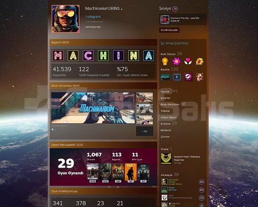 78 LVL-120 ROZET-35 ÖDÜL-36K PUAN-22 ÖZEL PROFİL