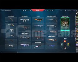 İçinde çoğu güzel skin var,indirim yapılır.Plat 1